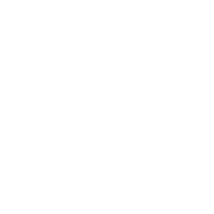 Older Adults