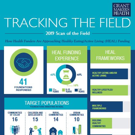 How HEalht Funders Approach HEAL Infographic