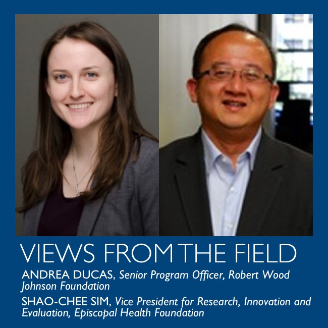 Views from the field by Andrea Ducas and Shao-Chee Sim