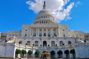 U.S. Capitol Building Washington D.C.